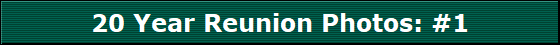 20 Year Reunion Photos: #1