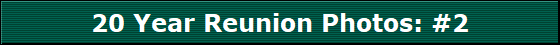 20 Year Reunion Photos: #2